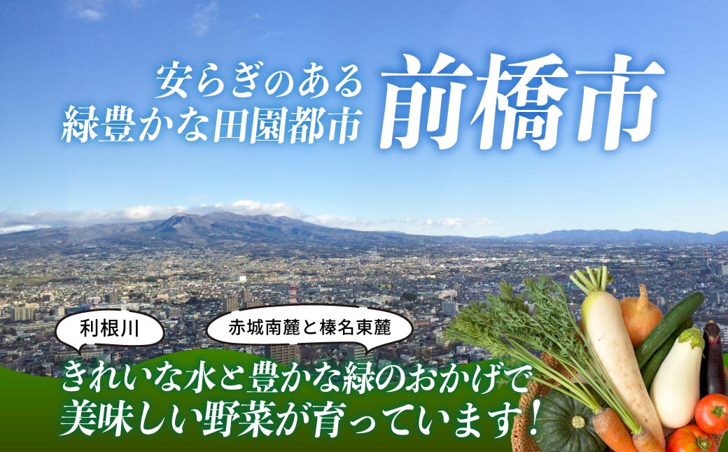 【ふるさと納税】季節の野菜 詰め合わせセット 定期便（偶数月）年6回 | 野菜セット 新鮮 旬野菜 朝どれ 農家直送 旬 野菜 鮮度 赤城山麓 群馬野菜 国産野菜 詰め合わせ 野菜詰合せ おまかせ野菜 野菜便 お取り寄せ 産直野菜 群馬県 前橋市