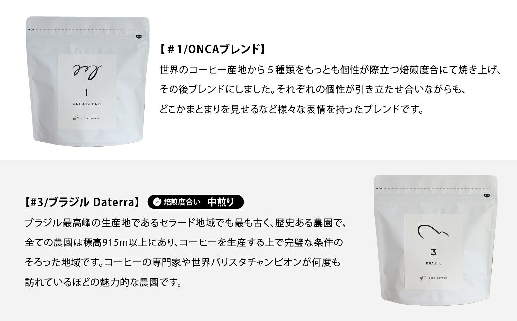 【ふるさと納税】コーヒー 豆 焙煎士 おすすめ すっきり おまかせセット 3ヶ月 定期便 各月200g ONCA COFFEE JINS | 珈琲 coffee エスプレッソ カフェ 深煎り 焙煎 ブレンド 酸味 コーヒー豆 すっきり シングルオリジン おうち時間 フィーカ オンカコーヒー 群馬県 前橋市