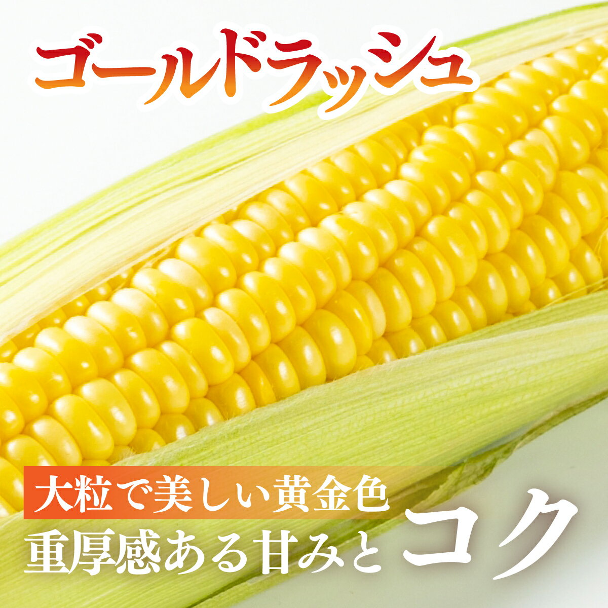 【ふるさと納税】太陽のとうもろこし ゴールドラッシュ 雪の妖精 選べる本数 6本 10本 | とうもろこし トウモロコシ 朝採れ 野菜 旬野菜 甘い 高糖度 群馬県産 産地直送 ギフト 新鮮コーン フルーツ 美味しい サラダ スープ 子ども こども 道の駅 まえばし赤城 群馬県 前橋市