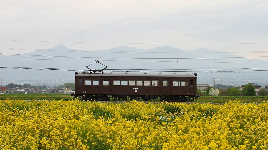 【ふるさと納税】N-05 上毛電鉄の特別な電車「デハ101」の貸切り