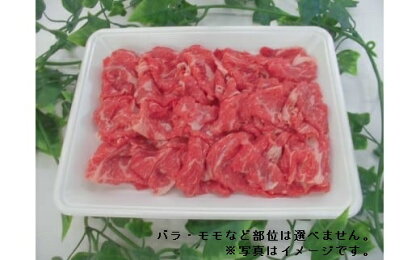 A-32　群馬県産上州牛切り落とし 500g