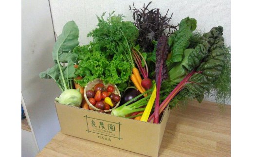 【ふるさと納税】 D-04　採れたて！良農園のおいしい野菜の定期便【年6回：偶数月配送】