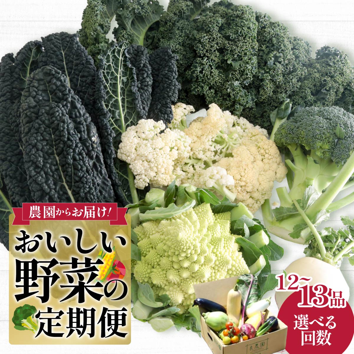 西洋野菜 セット 野菜の定期便 年6回 12〜13品|新鮮 朝どれ 農家直送 旬 野菜 野菜ソムリエ イタリア野菜 新種野菜 珍しい 西洋野菜