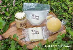 【ふるさと納税】R4-25 チーズ工房Three Brown モッツァレラ・カチョカバロ・ミルクジャ...