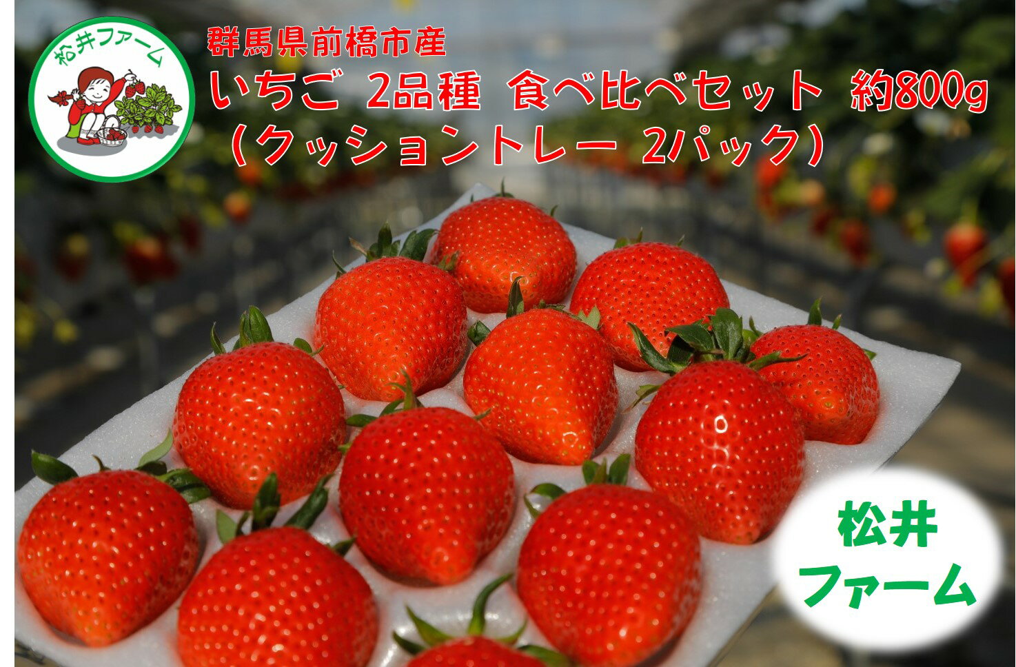 【ふるさと納税】I-53　いちご3品種以上　食べ比べセット計6パック