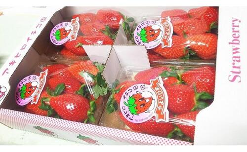 家庭用いちご やよいひめ(群馬県オリジナル品種のイチゴ)約280g×4パック(箱入り)