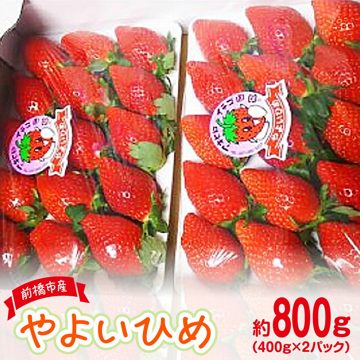 [2026年 先行予約] やよいひめ 約400g × 2パック (箱入り) 800g | 朝採れ やみつき高品質 たっぷり 贈答用 新鮮 完熟 いちご 旬 苺 ストロベリー 高級 産地直送 果汁 甘い あまい 人気 高評価 高糖度 ごほうび プレゼント 群馬県 前橋市