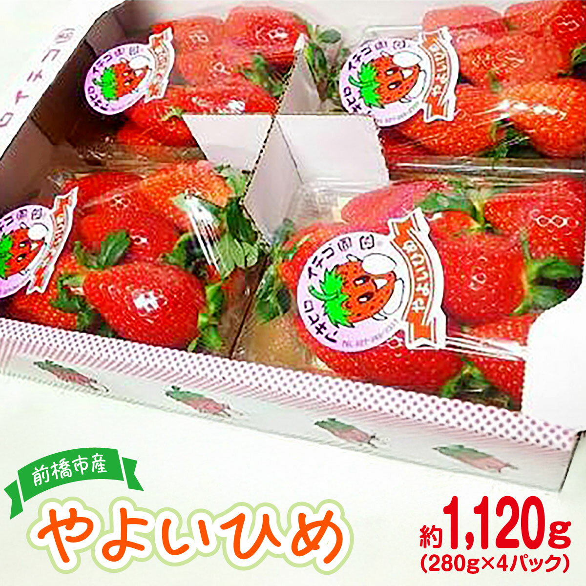 【ふるさと納税】家庭用いちご やよいひめ 約280g×4パック（箱入り） 合計1120g｜ 朝採れ やみつき高品質 たっぷり 贈答用 新鮮 完熟 いちご 旬 苺 ストロベリー 高級 産地直送 果汁 甘い あまい 人気 高評価 高糖度 ごほうび プレゼント 群馬県 前橋市 R-21のサムネイル