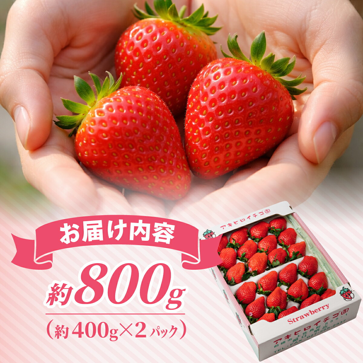 【ふるさと納税】【2027年 先行予約】 やよいひめ 約400g × 2パック (箱入り) 800g...