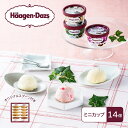 【ふるさと納税】ハーゲンダッツ スタンダードセット/アイス ミニカップ 人気フレーバー 詰合せ スプーン付き