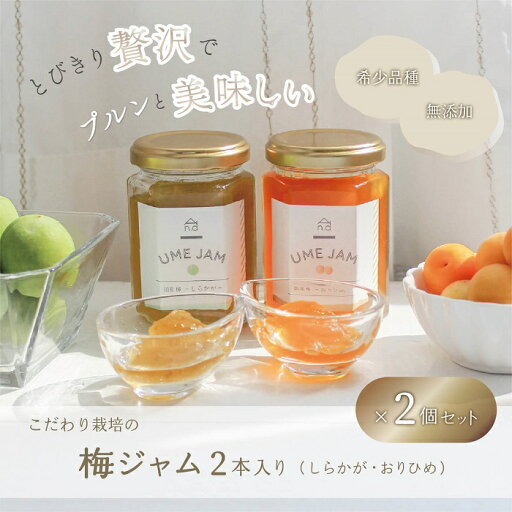 【ふるさと納税】《希少品種で無添加》こだわり栽培の梅ジャム4本セット(しらかが・おりひめ各2本) 【ふるさと納税】《希少品種で無添加》こだわり栽培の梅ジャム4本セット(しらかが・おりひめ各2本)