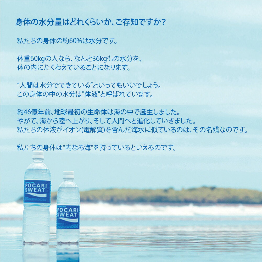 【ふるさと納税】大塚製薬　『ポカリスエット』　500ml×24本