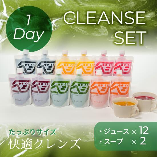 オーガニック野菜のコールドプレスジュース 「1-dayクレンズセット(ジュース12本、スープ2食)」