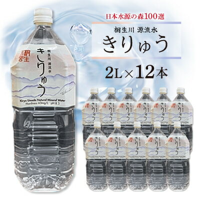 15位! 口コミ数「0件」評価「0」桐生川源流水「きりゅう」2L×12本【1119545】