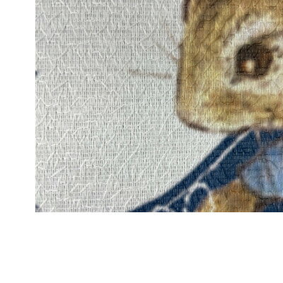 【ふるさと納税】のれんピーターラビット　月までとどけ【1334259】