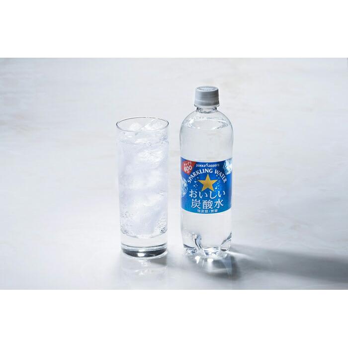 ڤդ뤵Ǽǡۤú 600ml 24ܡ