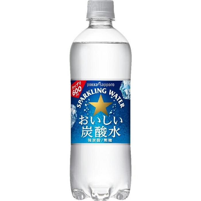 【ふるさと納税】おいしい炭酸水 （600ml ×24本）