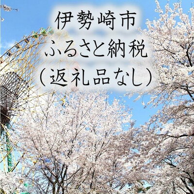 楽天ふるさと納税　【ふるさと納税】【R楽天ふるさと納税】群馬県伊勢崎市への寄付（返礼品はありません）