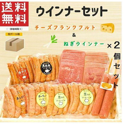 ウインナーセット（ねぎ＆チーズ）2箱セット 8種類 計2.4kg | 肉 にく お肉 食べ比べ お楽しみ 増量 セット 小分け 大容量 大人気 ランキング ボリューム 個包装 お歳暮 お年賀 アウトドア キャンプ 冷凍 伊勢崎市 群馬県