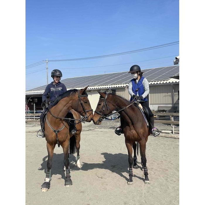 【乗馬クラブアトラス】 乗馬体験3ヶ月体験コース（初級・経験者コース）