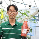 群馬県伊勢崎市の画像3