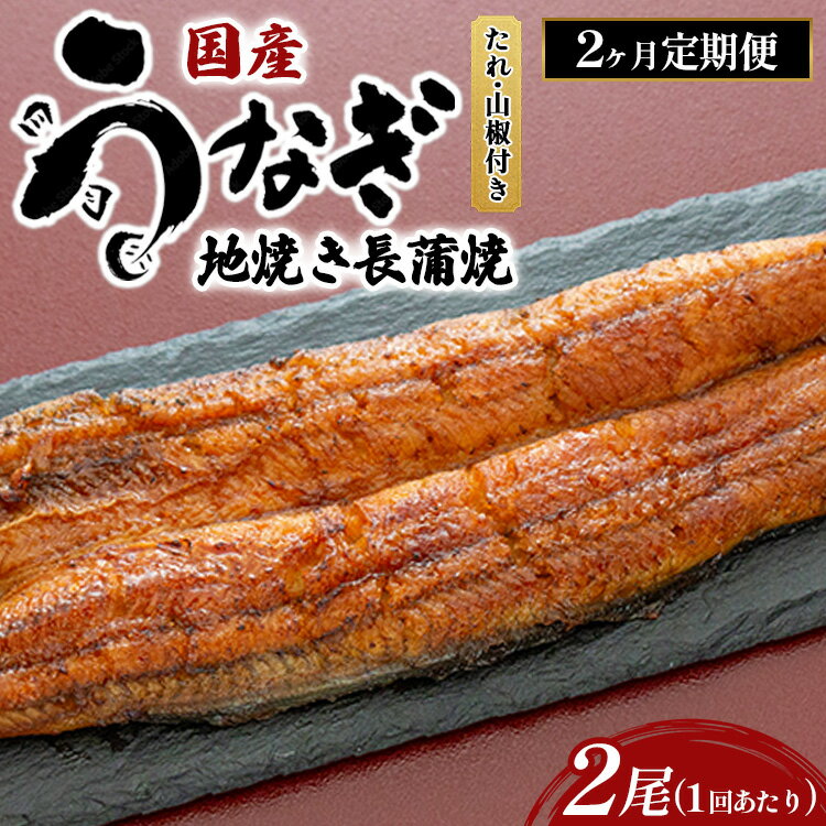 【ふるさと納税】【2ヶ月定期便】国産うなぎの地焼き長蒲焼2尾×2回 ※離島への配送不可(4)