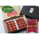 【ふるさと納税】【いちご博総合大賞】やよいひめ 約800g※2026年1月上旬~4月下旬頃に順次発送予定