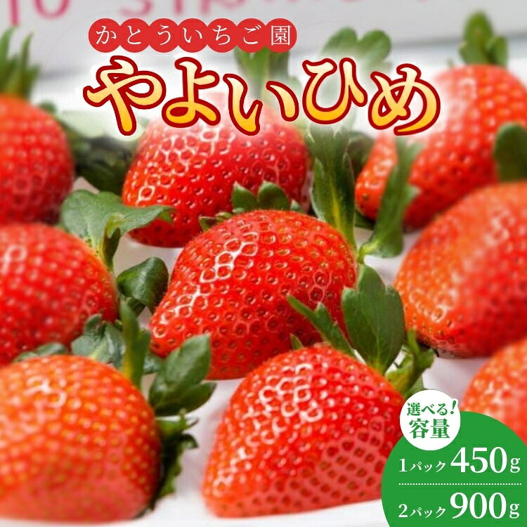 【ふるさと納税】【選べる容量】かとういちご園のやよいひめデラックスパック　1パック・2パック入り ※..