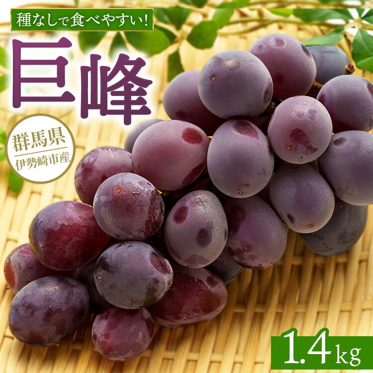 【ふるさと納税】巨峰 1.4kg ※2025年8月下旬～9月上旬頃に順次発送予定 ※離島への配送不可のサムネイル