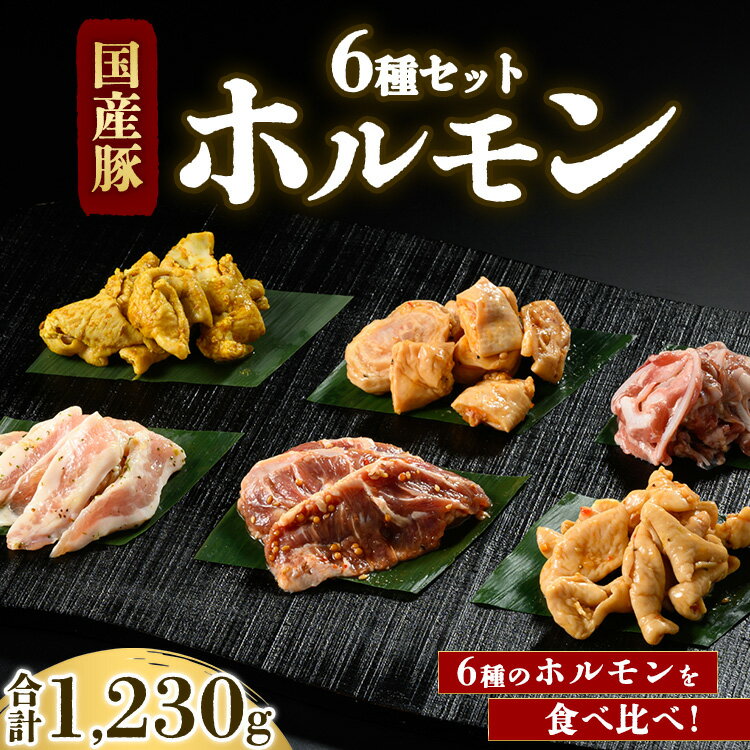 国産豚ホルモン6種セット 合計1,230g ※北海道・沖縄・離島への配送不可