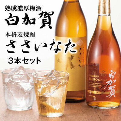 熟成濃厚梅酒白加賀・本格麦焼酎ささいなた3本セット