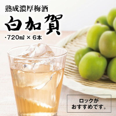 熟成濃厚梅酒白加賀(720ml×6本)【1292010】