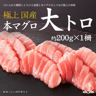 【ふるさと納税】国産本マグロ大トロ(柵・冷凍)約200g×1柵【1307863】