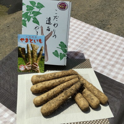 太田特産「やまといも」2kg×1箱[配送不可地域:離島]