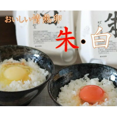 【ふるさと納税】【幸せの情熱卵】国産米ベースの厳選飼料で育った高級たまご30個(10個入×3パック)【配送不可地域:離島】【1415167】