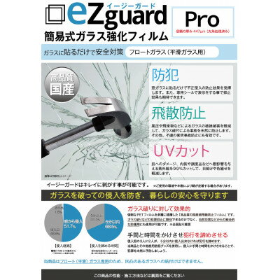 【ふるさと納税】イージーガード(ezguard)Pro【10枚入】【1421906】