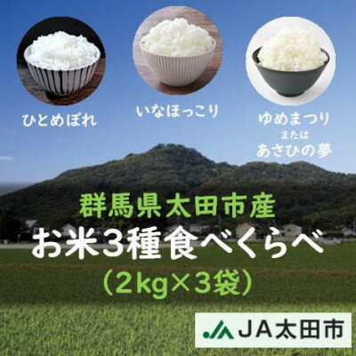 楽天ふるさと納税　【ふるさと納税】【令和5年産米】群馬県太田市産　おいしいお米3種をお届け　食べくらべセット【1436549】