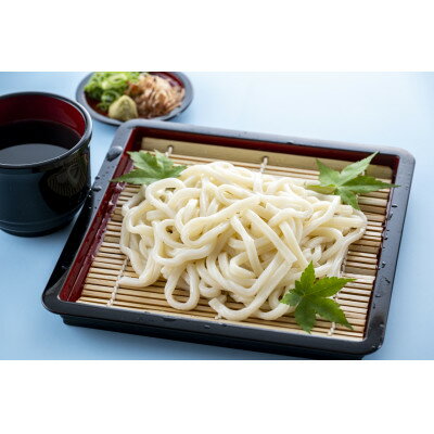 【ふるさと納税】上州群馬　太麺・強ゴシ　生んまいうどん!【配送不可地域：離島】【1448249】