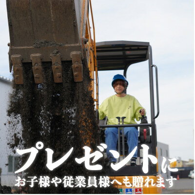 【ふるさと納税】【ミニショベルの資格】小型建設機械の操作を学べる講習受講チケット(1名様分)【1460966】