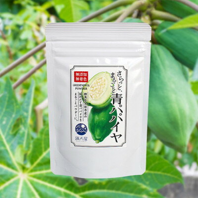 【ふるさと納税】国産 青パパイヤパウダー 50g 〜 さらっとまるごと青パパイヤ 〜【1483316】