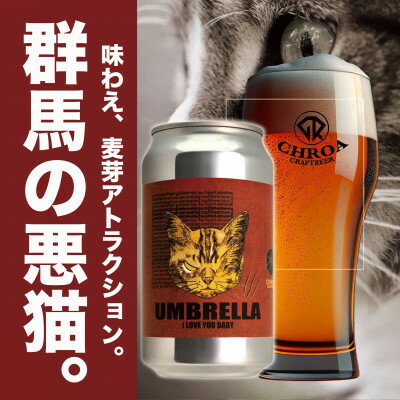 【ふるさと納税】【2025年9月～発送】クラフトビール　　　CHROA(クロア)　 缶ビール12本セット【1578169】