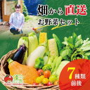【ふるさと納税】群馬県太田市産 季節のオーガニック有機野菜 7点前後の詰め合わせ【配送不可地域:離島・北海道・沖縄県・中国・四国・九州】【1589489】