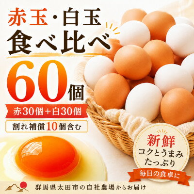 むかしの美味しい卵・心美卵 紅白食べ比べセット 60個(各30個)[配送不可地域:離島]