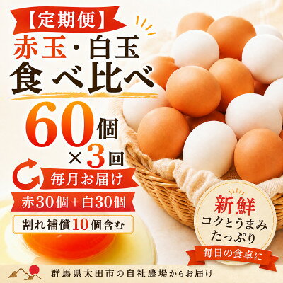 【ふるさと納税】【毎月定期便】むかしの美味しい卵・心美卵 紅白食べ比べセット 60個(各30個)全3回【配送不可地域：離島】【4091597】