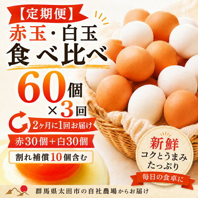 [2ヵ月毎定期便]むかしの美味しい卵・心美卵 紅白食べ比べセット 60個(各30個)全3回[配送不可地域:離島]