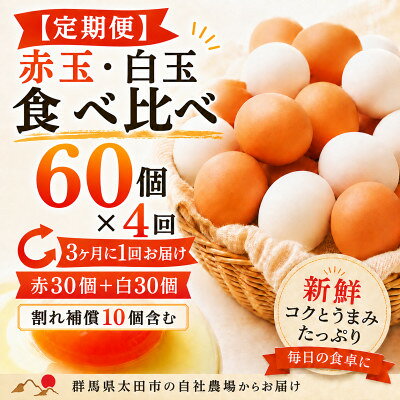 【ふるさと納税】【3ヵ月毎定期便】むかしのおいしい卵・心美卵 紅白食べ比べセット 60個(各30個)全4回【配送不可地域：離島】【4091602】