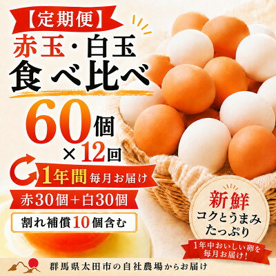 【ふるさと納税】【毎月定期便】むかしの美味しい卵・心美卵 紅白食べ比べセット 60個(各30個)全12回【配送不可地域：離島】【4091612】