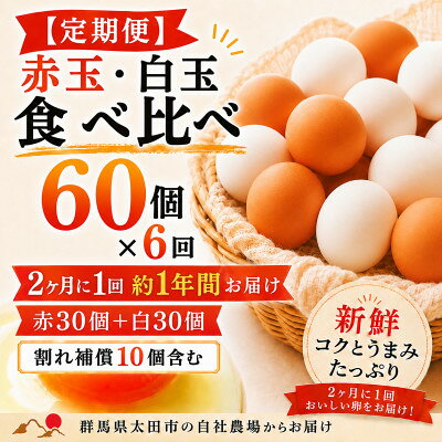 【ふるさと納税】【2ヵ月毎定期便】むかしの美味しい卵・心美卵 紅白食べ比べセット 60個(各30個)全6回【配送不可地域：離島】【4091613】