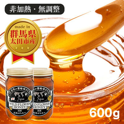 国産 おおたはちみつ 300g×2個セット【G6653380】