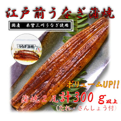 【ふるさと納税】【2025年5月上旬発送】国産江戸前の味・うなぎ長焼2尾【配送不可地域：離島】【6713110】
